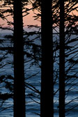 Olympic National Park