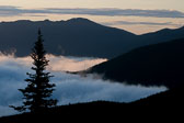 Olympic National Park